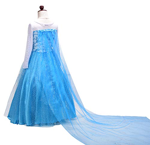 Ice Princess Costume