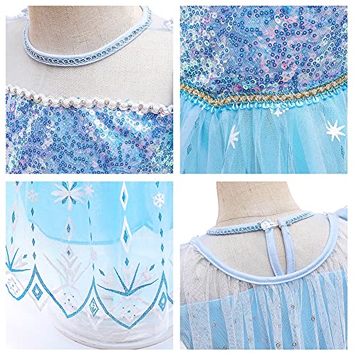 Elsa Princess Dress Halloween Costume Christmas Birthday Evening Party Ball Gown w/Accessories Blue 4-5T